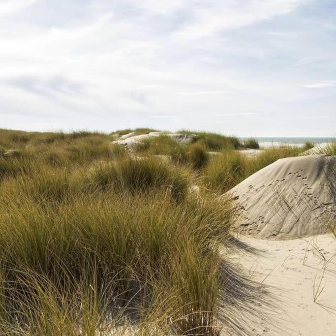 Le Rosa: Villa De Charme Entre Mer Et Pinede Quend Extérieur photo