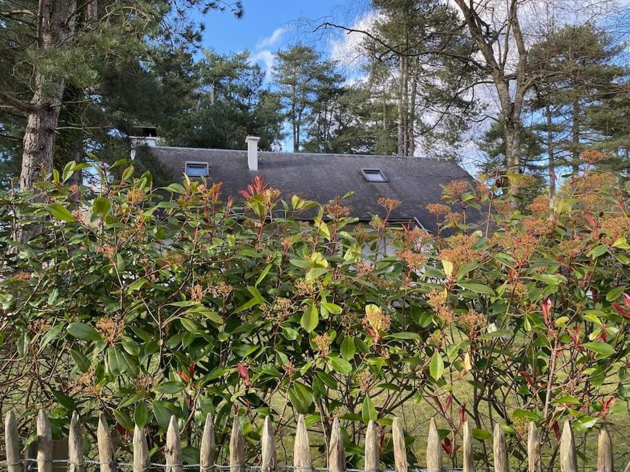 Le Rosa: Villa De Charme Entre Mer Et Pinede Quend Extérieur photo