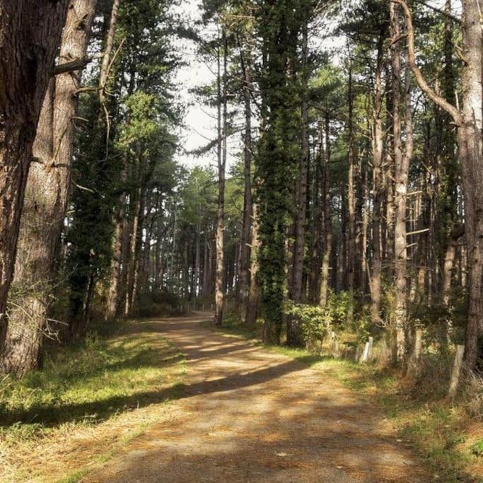 Le Rosa: Villa De Charme Entre Mer Et Pinede Quend Extérieur photo
