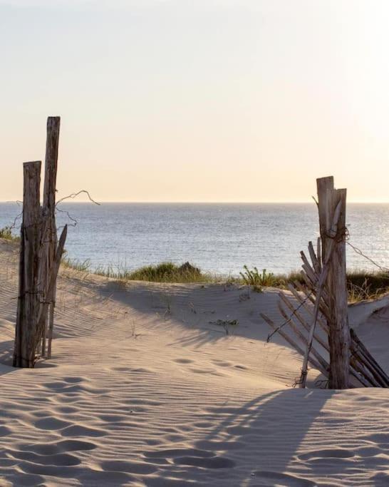 Le Rosa: Villa De Charme Entre Mer Et Pinede Quend Extérieur photo